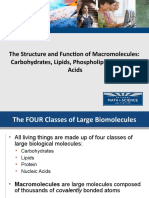 8.1 Biological Molecules