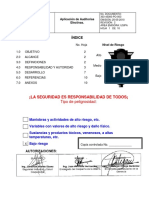 Procedimiento Auditorias Efectivas