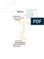 Ocular Anatomy - The Retina