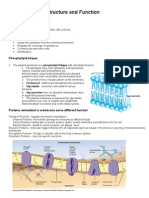 (Notes) Cell Membrane