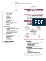 Psy 432 - Neuroanatomy