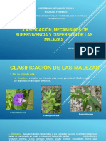 Clasificacion, Mecanismos de La Maleza