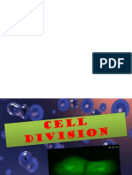 Cell Division