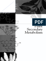 Plant Secondary Metabolism