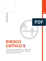 Riesgo Critico N°5 CODELCO