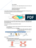 Cell Cycle Checkpoints