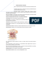 Examen Anatomia y Fisiologia