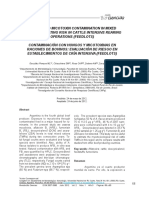 Contaminación Con Hongos y Micotoxinas en Raciones de Bovinos Evaluación de Riesgo en Establecimientos de Cría Intensiva Feedlots