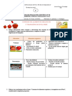 1° Ficha de Indagación N°1 - Contraste y Conclusiones