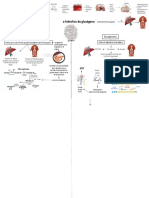 Glucogenolisis y Glucogenesis