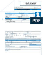 Formato Hoja de Vida Minerva 1003 Wor