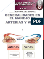 Venas y Arterias