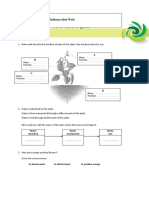 Worksheet 1.1 Plant Organs