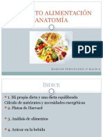 Alimentación Anatomía