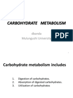 CHE 311 Lecture 3 Carbohydrate Metabolism