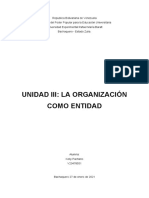 Unidad III La Organizacion Como Entidad