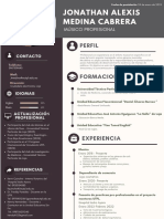 Curriculum CV Marketing Profesional Gris Oscuro