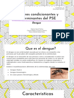 Factores Condicionantes T Determinantes Del Dengue