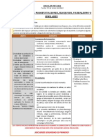 Circular#001-2023 Acciones Frente A Manifestaciones, Bloqueos o Vandalismo.