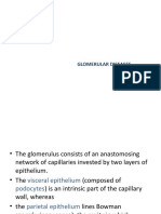 Glomerular Diseases