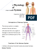 Anatomy & Physiology NS