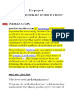  Economics Project Production Function