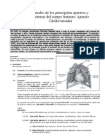 Estudio de Los Principales Aparatos y Sistemas Del Cuerpo Humano Aparato Cardiovascular