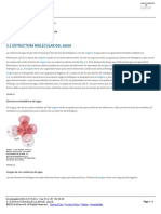 3.1 Estructura Molecular Del Agua