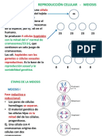 Cea 2021 Unid. 4 Meiosis