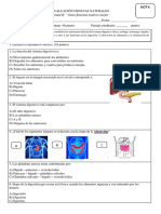 Prueba Sistema Digestivo