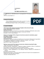 Curriculum Vitae Juan Melgar 2022-1