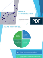 Género Enterococcus SPP.: Gabriela Abdalla Qb. Msc. 23/03/2023