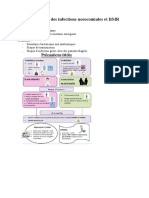 Prévention Des Infections Nosocomiales Et BMR