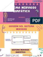 Sistema Nervioso Simpático Fisiología