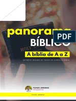 Panorama Biblico V10 - Novo Testamento