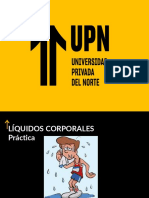 1p. Líquidos Corporales