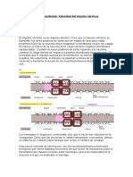 Experimento Del Impulso Nervioso