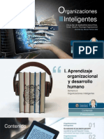 Organizaciones Inteligentes