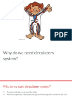 The Circulatory System - Grade 7