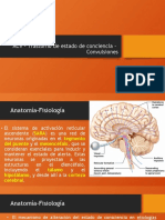 ACV - Trastorno de Estado de Conciencia - Convulsiones