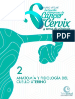 Anatomia y Fisiologia Del Cuello Uterino