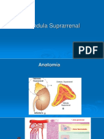 Suprarrenales, Sindrome de Cushin, Insuficiencia Adrenal