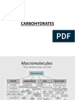 CARBOHYDRATES