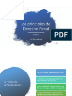 DERECHO PENAL UNO 5 Principios Del DP