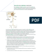 Bases Biologicas de La Conducta.