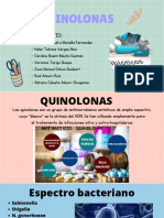 Quinolonas: Integrantes