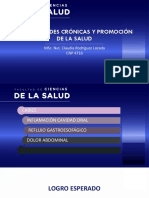 Enfermedades Crónicas Y Promoción de La Salud: Msc. Nut. Claudia Rodríguez Lozada CNP 4716