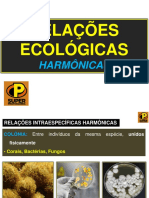 Relações Ecológicas