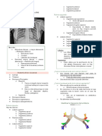 Apuntes Tórax 2do Parcial