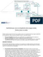 Rectificativa Por Error en La Liquidacion de Las Cargas Sociales. Opciones Segun Tipo de Rectificativa